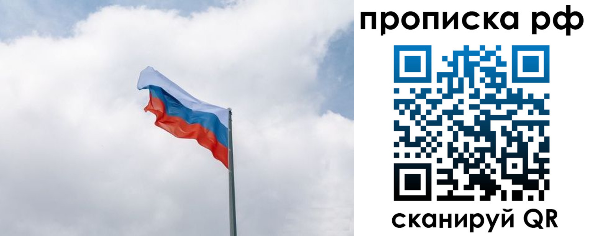 прописка гарантия в Зверево